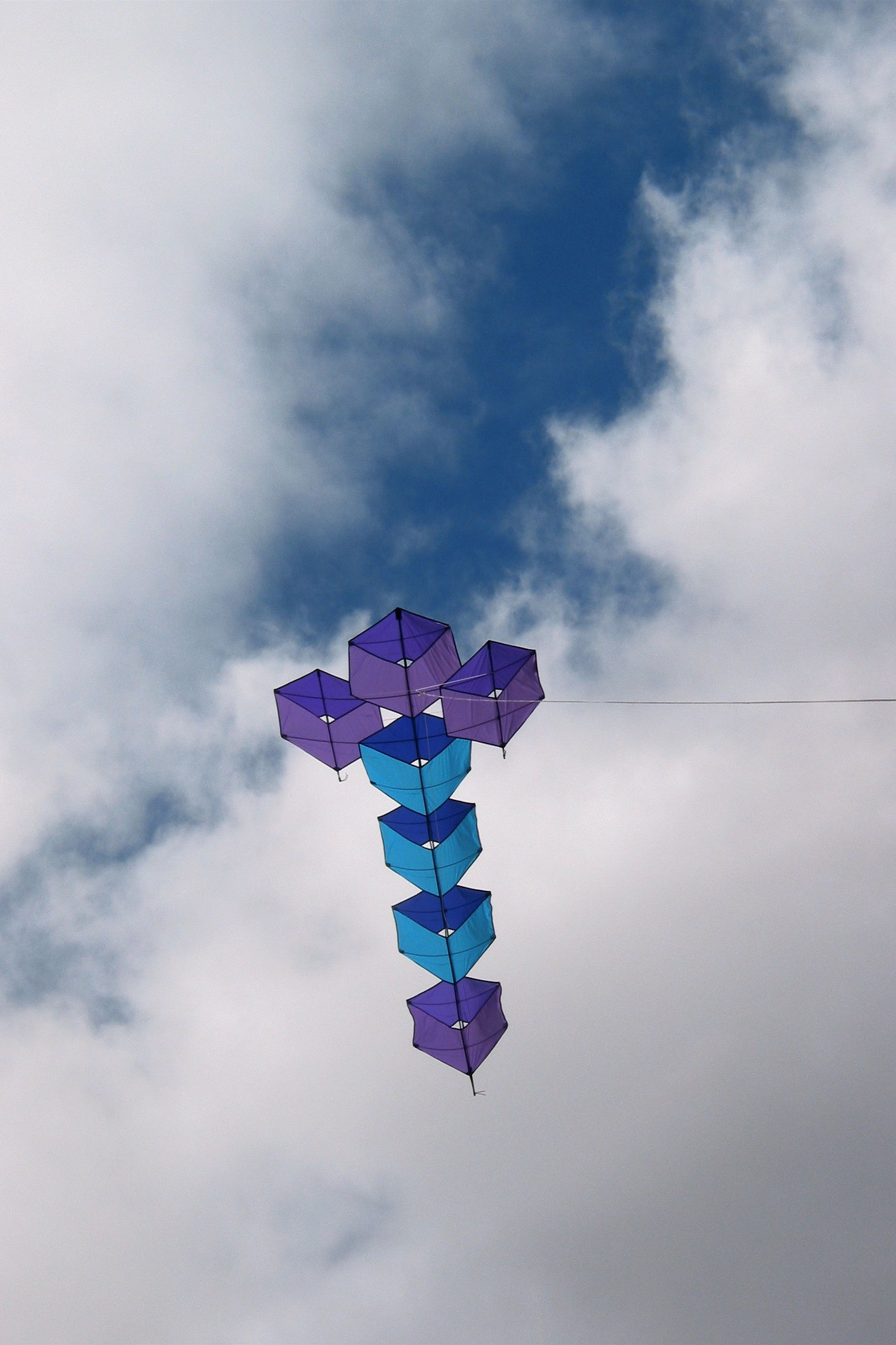 Purple cube 